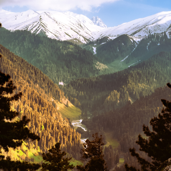 Kashmir Offbeat with Gurez